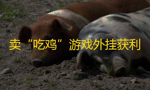 金铲铲科技漂移科技站卖“吃鸡”游戏外挂获利 连云港警方控制15名涉案人员